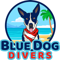 Blue Dog Divers