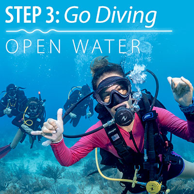 Open Water Dives